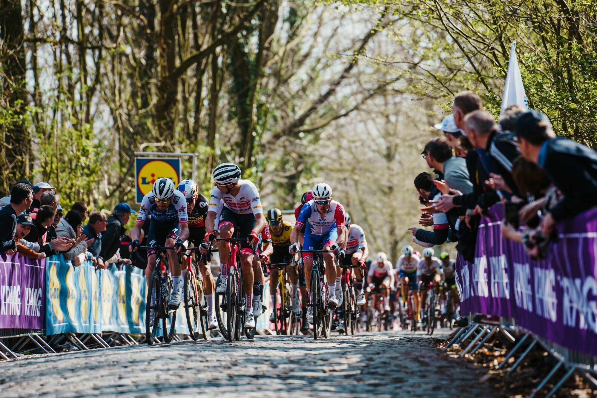 Who will be writing history in Wevelgem this year?
