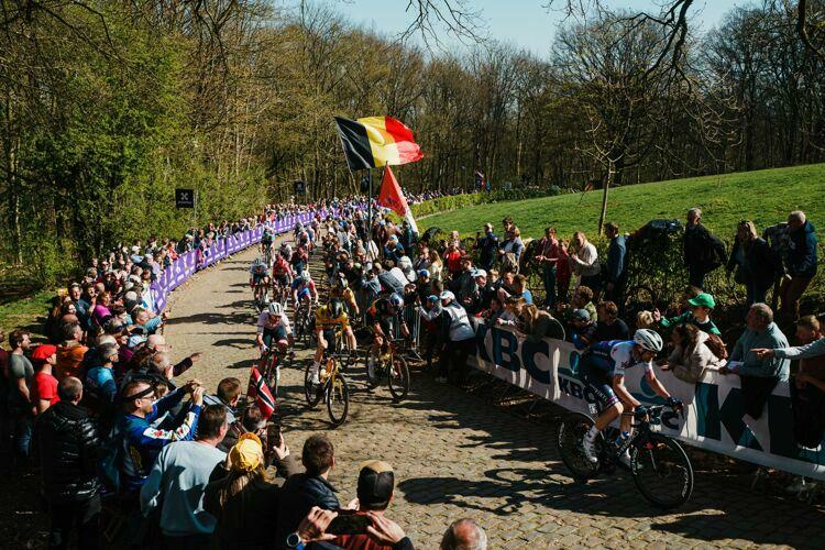 Bereid je voor op Gent-Wevelgem met de fanguide